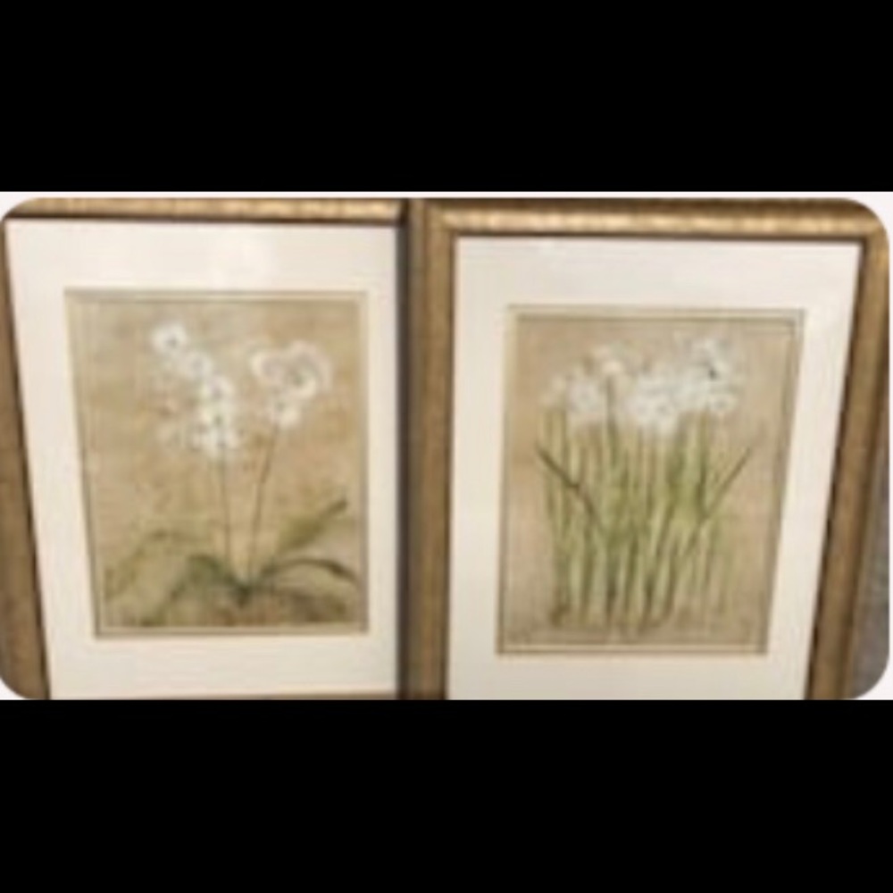 Set of pictures